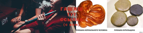эйфоретик Алзамай