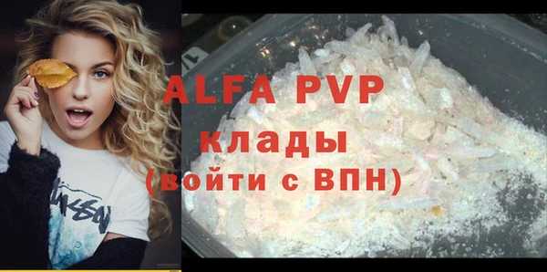 эйфоретик Алзамай