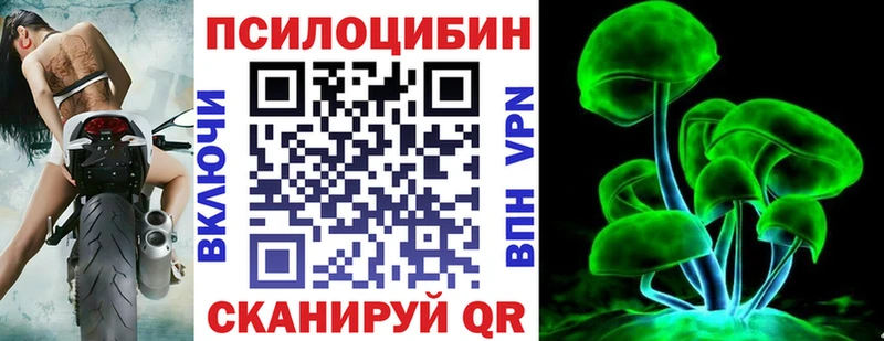 Псилоцибиновые грибы мицелий Красноуральск